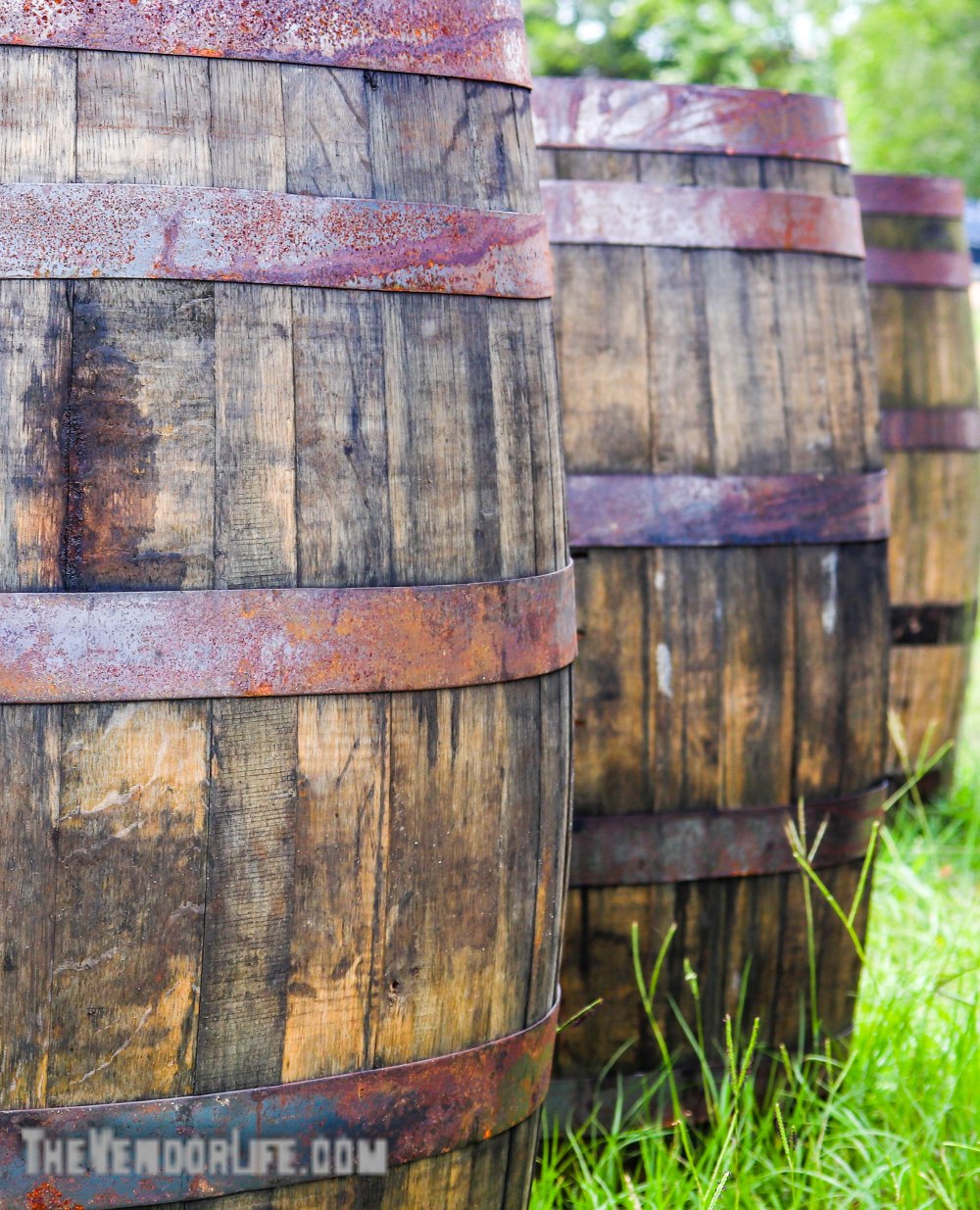 Round Top Antiques Week-1335-20181002