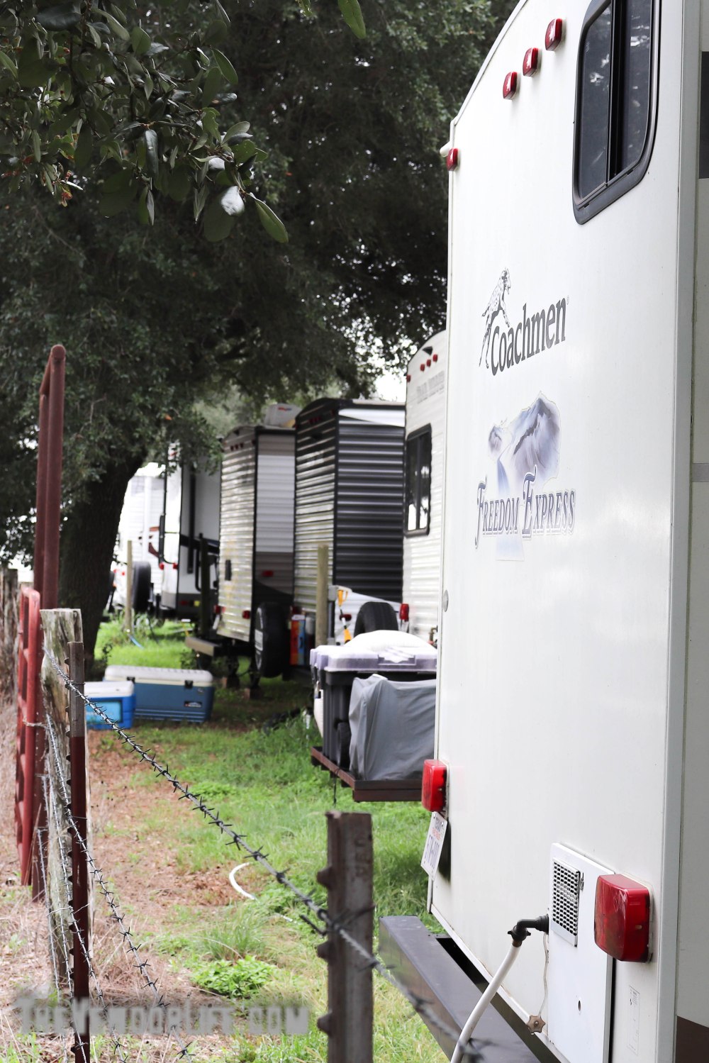 Round Top Antiques Week-1290-20181002