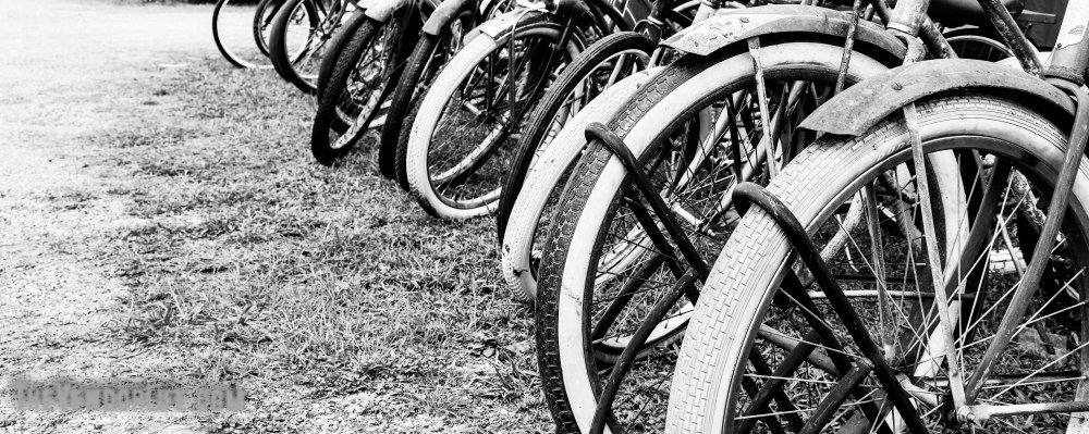 Round Top Antiques Week-1333-20181002